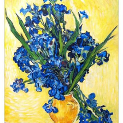 Irises (after Van Gogh).