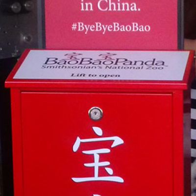 Bao Bao we’ll miss you! Smithsonian National Zoo, February 21, 2017.